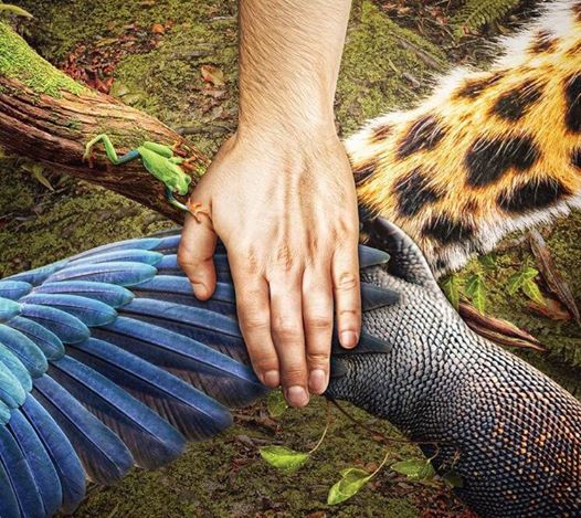 nearshoring partners mexico